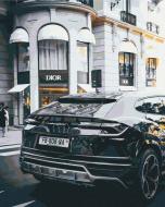 Картина за номерами Розкішне життя BS52523 40x50 см Brushme