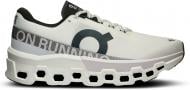 Кроссовки женские ON Cloudmonster 2 3WE10110664 р.39 белые