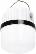 Фонарь кемпинговый Expert мультифункциональный LP-246154 80 Lm белый