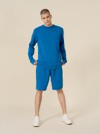 Шорты Outhorn SHORTS CAS M139 OTHSS23TSHOM139-36S р. M синий