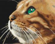 Картина за номерами Погляд рижулі BS52377 40x50 см Brushme