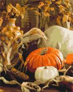 Картина за номерами Гарбузовий натюрморт BS52367 40x50 см Brushme Картина за номерами Гарбузовий натюрморт BS52367 40x50 см Brushme