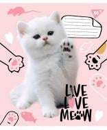 Зошит шкільний Live love meow А5/12 в косу лінію без д/л YES