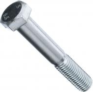 Болт метрический DIN 931 ЦБ 18x110 мм клас прочности 8,8 Expert Fix