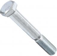 Болт метрический DIN 931 ЦБ 18x120 мм клас прочности 8,8 Expert Fix