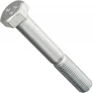 Болт метричний DIN 933 ЦБ 22x65 мм клас міцності 8,8 Expert Fix