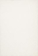 Ковер Oriental Weavers ALLOY (55001/B6Y-W) 80x120 см