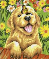 Картина по номерам Радостный щенок BS51702 40x50 см Brushme Картина по номерам Радостный щенок BS51702 40x50 см Brushme