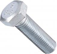 Болт метрический DIN 933 ЦБ 24x80 мм клас прочности 8,8 Expert Fix