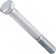 Болт метричний DIN 931 ЦБ 24x200 мм клас міцності 8,8 Expert Fix