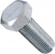 Болт метричний DIN 933 ЦБ 30x80 мм клас міцності 8,8 Expert Fix