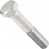 Болт метричний DIN 931 ЦБ 30x170 мм клас міцності 8,8 Expert Fix