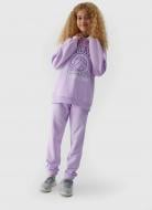 Джемпер 4F 4FJRAW23TSWSF1121-52S р.122 фіолетовий