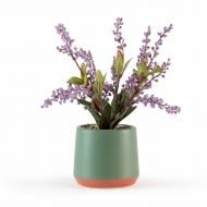 Растение декоративное DH-FLOWERS-21 PURPLE/GREEN MVM