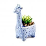 Рослина декоративна DH-FLOWERS-20 GREEN/BLUE "Жирафа" MVM Рослина декоративна DH-FLOWERS-20 GREEN/BLUE "Жирафа" MVM
