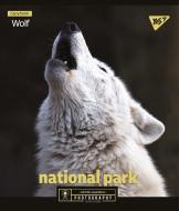 Зошит шкільний А5/24 в клітинку Wild portrait 765240 YES