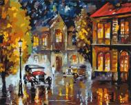 Картина по номерам Романтическое путешествие BS52288 40x50 см Brushme