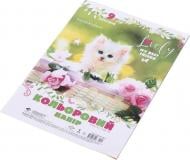 Набор цветной бумаги А4 9 листов односторонний