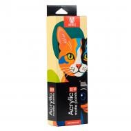 Набір акрилових фарб ColorСat 12 x 10 мл Arteo