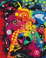 Картина по номерам Радужный друг BS52262 40x50 см Brushme