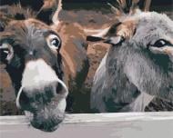 Картина по номерам Ослики на ранчо BS52259 40x50 см Brushme Картина по номерам Ослики на ранчо BS52259 40x50 см Brushme