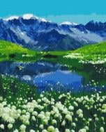 Картина по номерам Альпийские луга BS39458 40x50 см Brushme Картина по номерам Альпийские луга BS39458 40x50 см Brushme