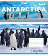 Тетрадь школьная 48 листов линия 1В Earth Animal (764946) 1 вересня