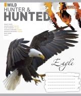 Тетрадь школьная 48 листов линия 1В Hunted (766013) 1 вересня