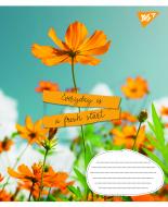 Тетрадь школьная 48 листов линия 1В Summer flowers (766030) 1 вересня
