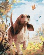 Картина по номерам Вслед за бабочками BS51950 40x50 см Brushme