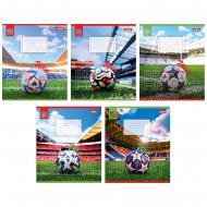 Зошит шкільний 48 аркушів лінія Win (767120) 1 вересня