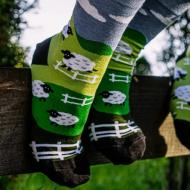 Шкарпетки чоловічі Leostep Овечки на полі 3006813727 р.41-43 мульті Шкарпетки чоловічі Leostep Овечки на полі 3006813727 р.41-43 мульті