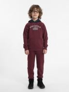 Штани 4F TROUSERS CAS M419 4FJAW23TTROM419-60S р. 122 червоний