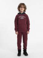 Штани 4F TROUSERS CAS M419 4FJAW23TTROM419-60S р. 152 червоний