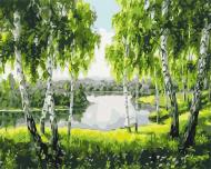 Картина по номерам Березы с детства BS52205 40x50 см Brushme