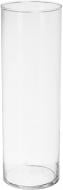 Ваза стеклянная Wrzesniak Glassworks 10х30 см 30 см прозрачная 17-290A
