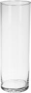 Ваза стеклянная Wrzesniak Glassworks 11х35 см 35 см прозрачная 17-700