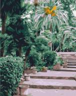 Картина по номерам Тропики BS52446 40x50 см Brushme Картина по номерам Тропики BS52446 40x50 см Brushme