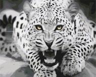 Картина за номерами Хижак в русі BS52185 40x50 см Brushme