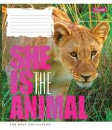 Тетрадь школьная 60 листов линия 1В He Is… (763667) 1 вересня