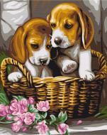 Картина по номерам Парочка в корзине BS29695 40x50 см Brushme Картина по номерам Парочка в корзине BS29695 40x50 см Brushme