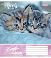 Тетрадь школьная 60 листов линия 1В Little Kittens (763668) 1 вересня