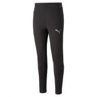 Брюки Puma EVOSTRIPE Pants 67331501 р. 2XL черный