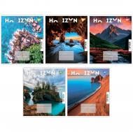 Тетрадь школьная 60 листов линия Horizon nature (767159) YES