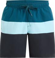Шорты Firefly Natal II M 431250-902 р. 2XL разноцветний Шорты Firefly Natal II M 431250-902 р. 2XL разноцветний