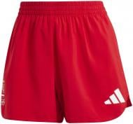 Шорти Adidas NOC Poland JF9048 р. XL червоний