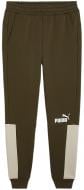 Штани Puma Essentials Camo 84903770 р. 3XL зелений