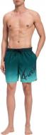 Шорты Firefly Lario M Typo Shaded 430706-631 р. M разноцветный