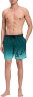 Шорты Firefly Lario M Typo Shaded 430706-631 р. S разноцветный