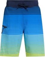 Шорты Firefly Otto II B Shade Stripe 434990-541 р. 152 разноцветный